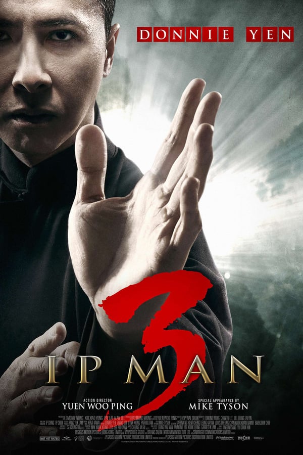 TOP - Ip Man 3